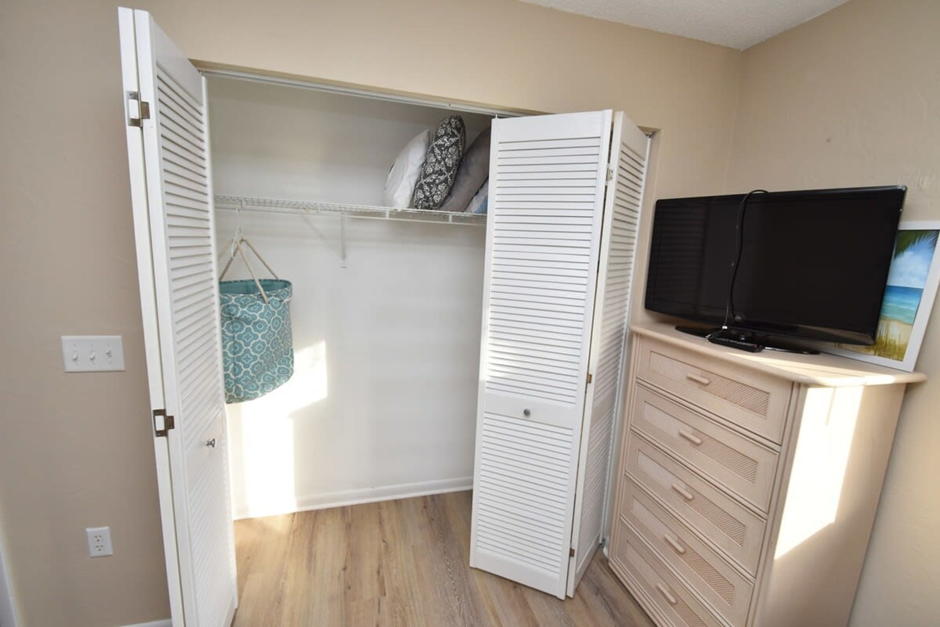 A room with a closet containing hanging bags, a television on a stand, and a painting on the wall.