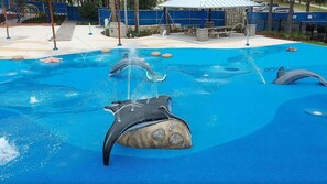 A dolphin pool with clear water and dolphins performing. - Saltwater Canal Home Heated Pool 3 2 2 Gorgeous Pets Welcome (Palm Coast)