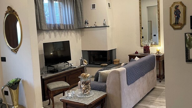 A living room with a sofa, TV, fireplace, and decorative items. - LUCCA MIRA (Lucca)