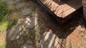 A wooden deck with lounge chairs, a covered seating area, and a potted plant. - TI KAZ with SPA and nearby lagoon (Saint-Paul)