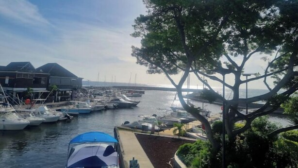 A marina with boats docked, a tree, and a building with a sloped roof. - TI KAZ with SPA and nearby lagoon (Saint-Paul)