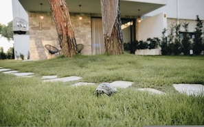 Exterior - Parrot's Home (Ishëm)