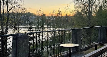 Historical 1BR Penthouse with Sauna