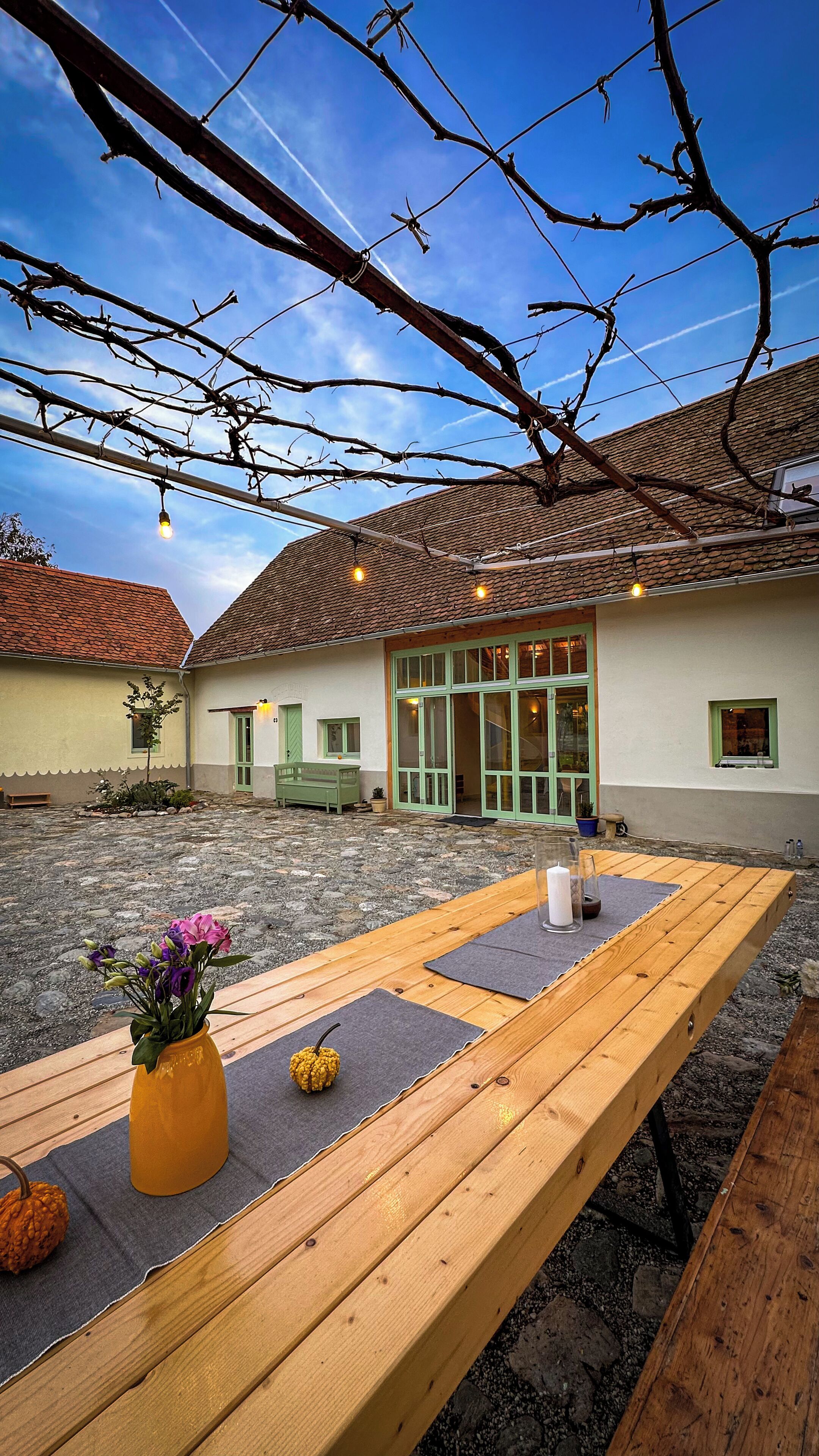 テラス / パティオ