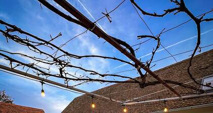 Porumbacu 216 Guesthouse. In the heart of Transylvania next to mountains Făgăraș