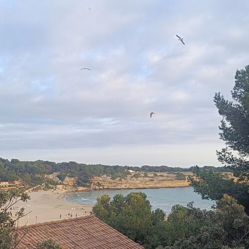 La Salamandre - Walking distance to the sea, calm & comfort