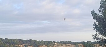 La Salamandre - Walking distance to the sea, calm & comfort