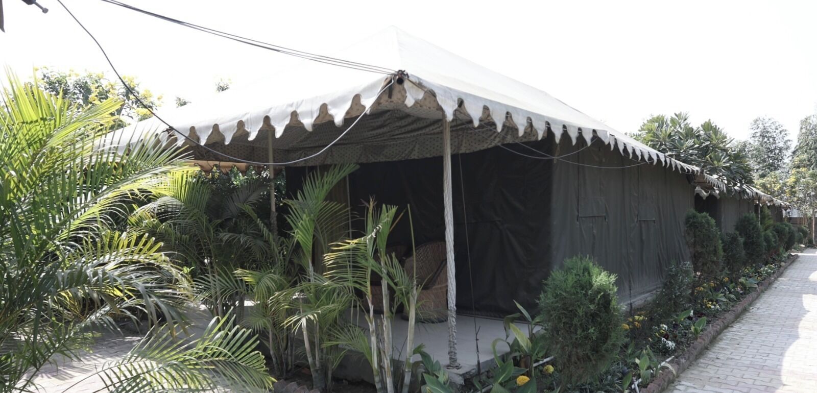 Een traditionele hut met rieten dak, omringd door weelderige tropische planten.