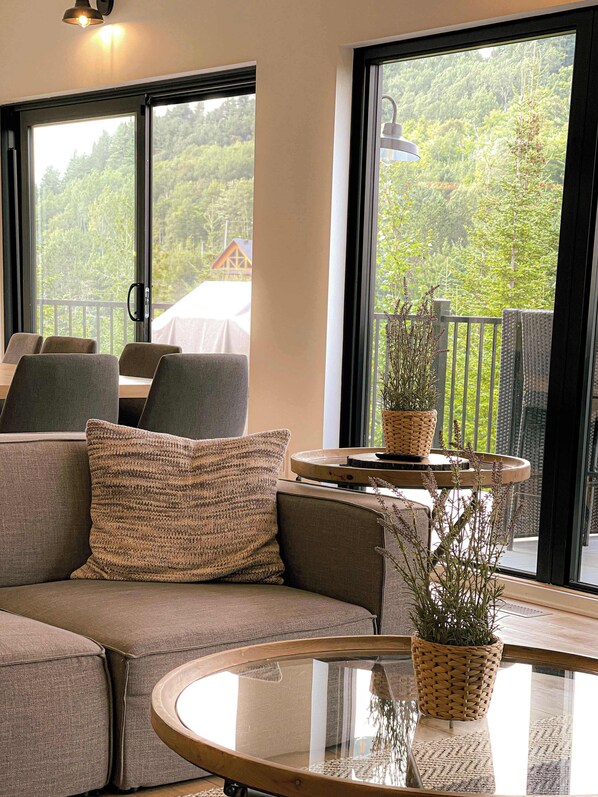 Televisión, chimenea