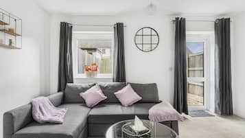 TV, DVD player, books, video library