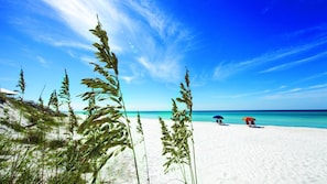 Playa