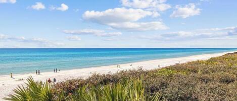 Een strand met helderblauw water, wit zand en schaarse begroeiing op de voorgrond.