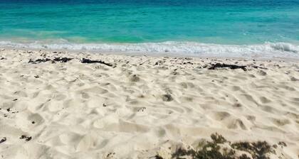 Cool, Self Contained, spacious 1-bedroom apartment in Christ Church