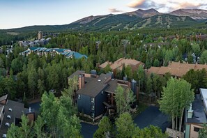 Un quartier résidentiel avec des maisons modernes, entouré d’une forêt dense, d’un télésiège et de montagnes en arrière-plan.
