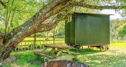 Hilltop Stable
