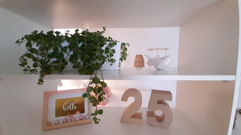 A shelf with a framed 'hello' sign, a number '25', and a hanging plant.