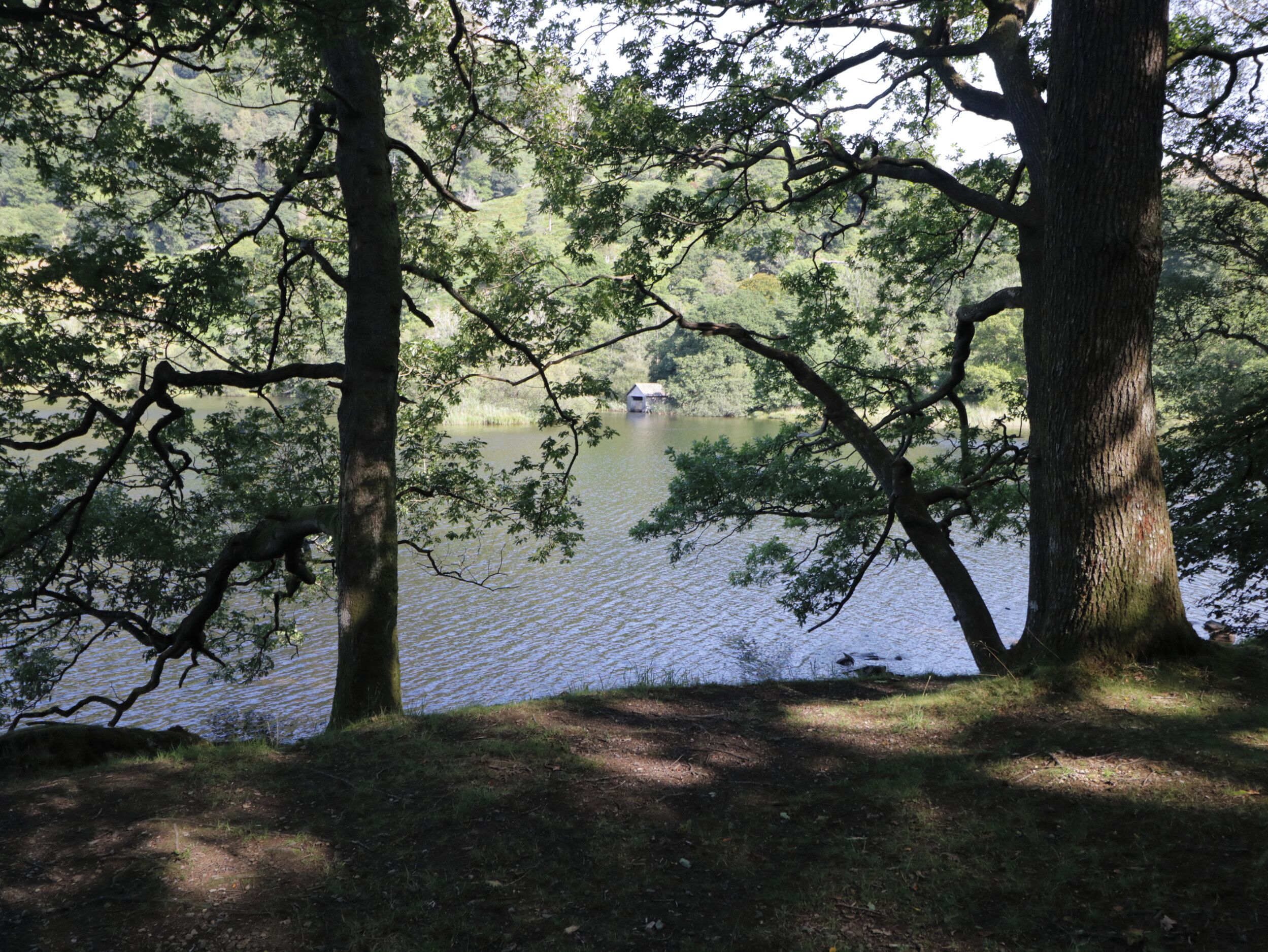 Un paisaje natural con un lago, árboles y un bote.