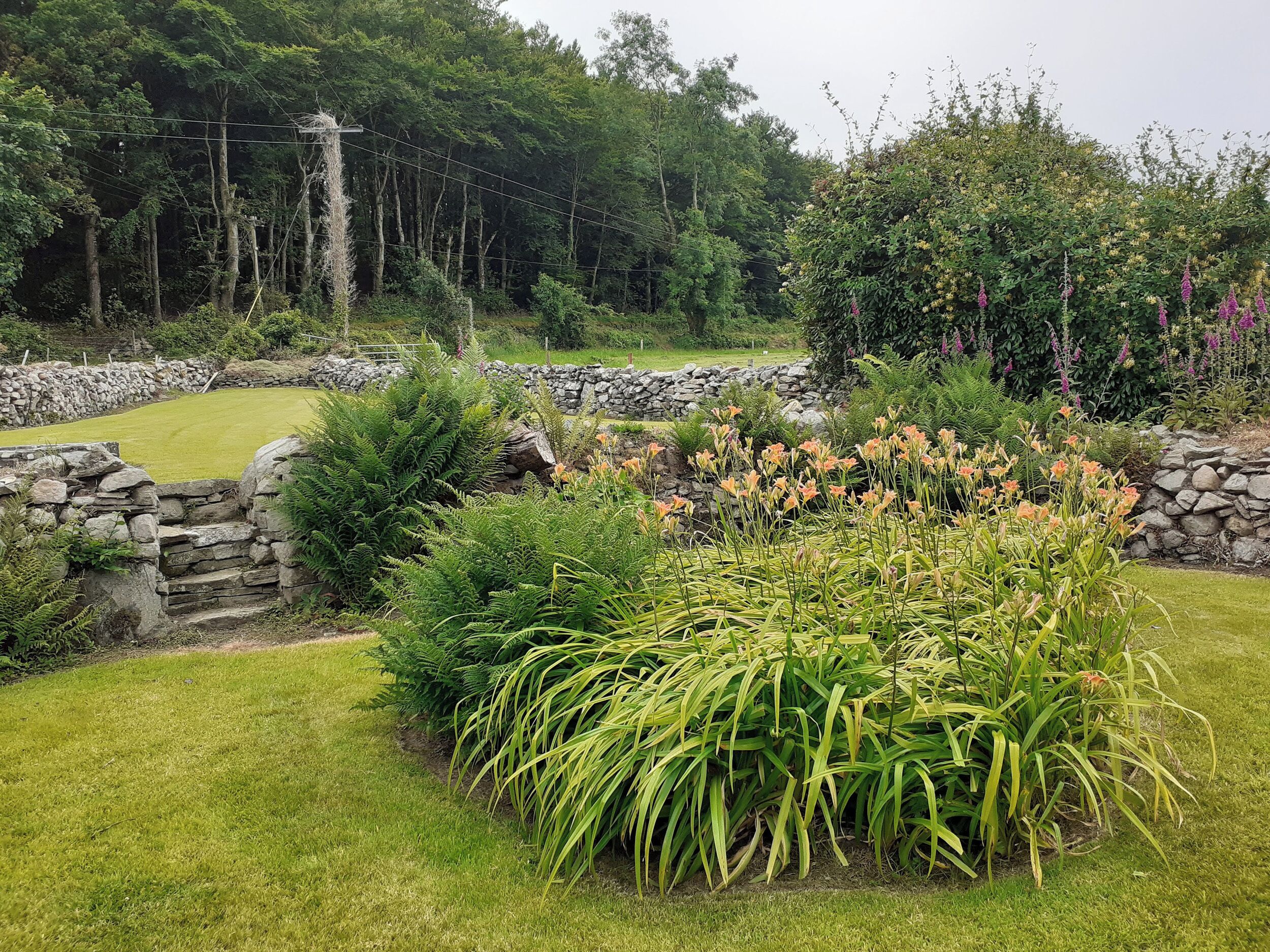 Un jardí ben cuidat amb plantes variades i una paret de pedra.
