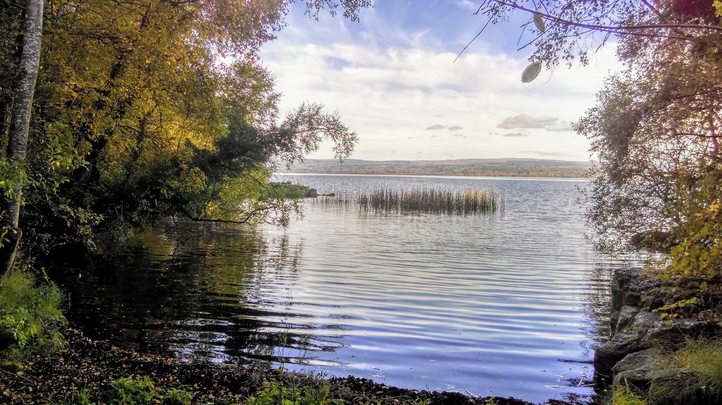 A calm lake surrounded by trees with a clear view of distant hills.