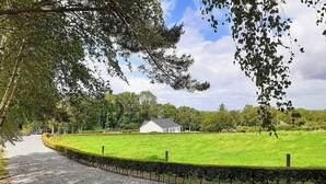 A gravel pathway leading to a white building surrounded by a green field and trees. - Fraoch Cottage (Garrykennedy)