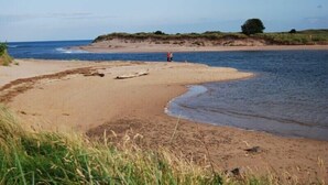 Une plage avec une personne qui se promène le long du rivage, des dunes herbeuses et un arbre en arrière-plan.