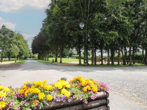 Áreas de la propiedad