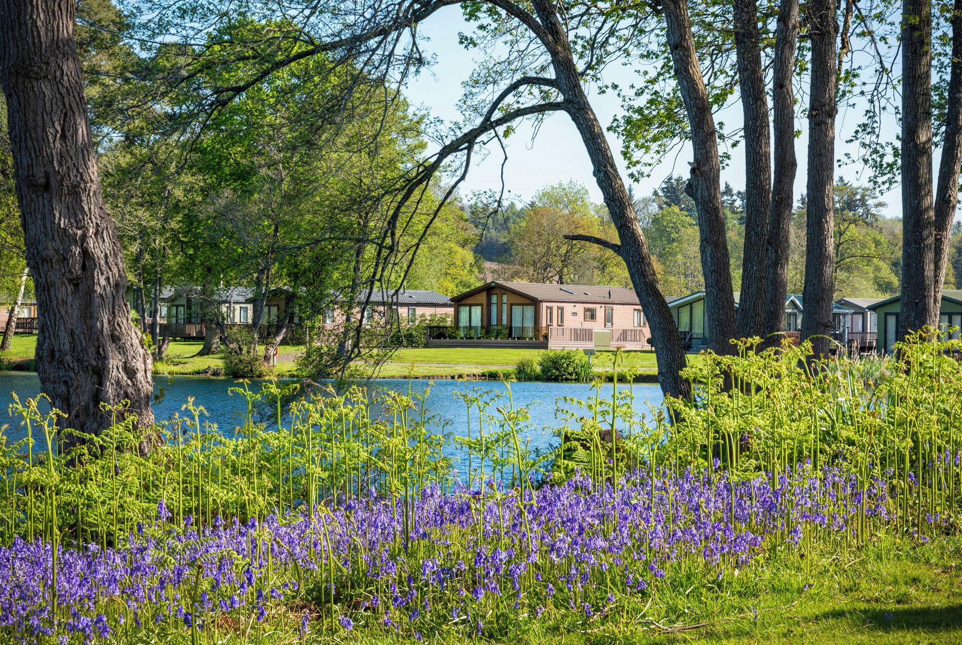 A lakeside property with cabins, a grassy area, and a variety of vegetation.