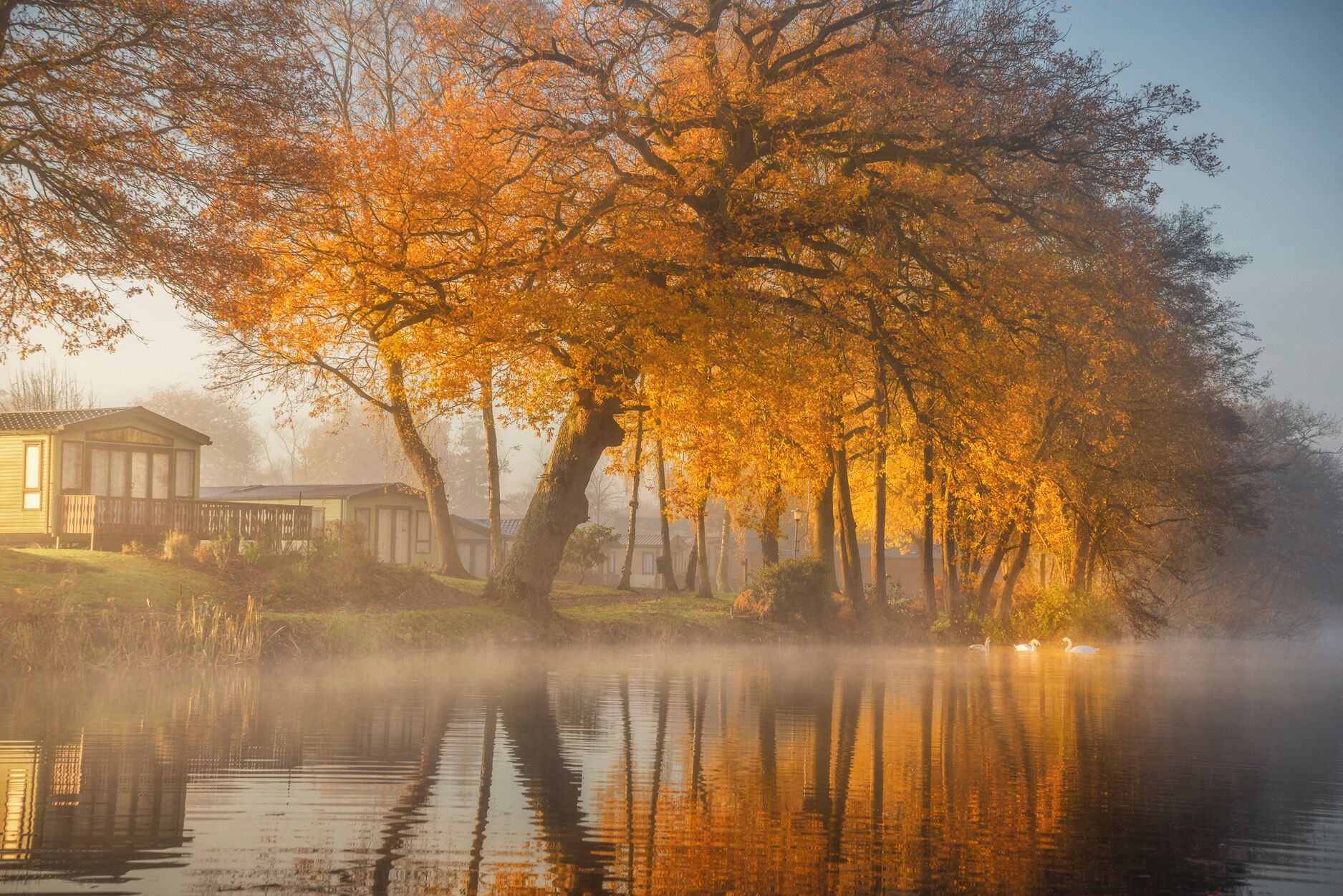 A serene lakeside scene with a house and trees reflecting on the water.