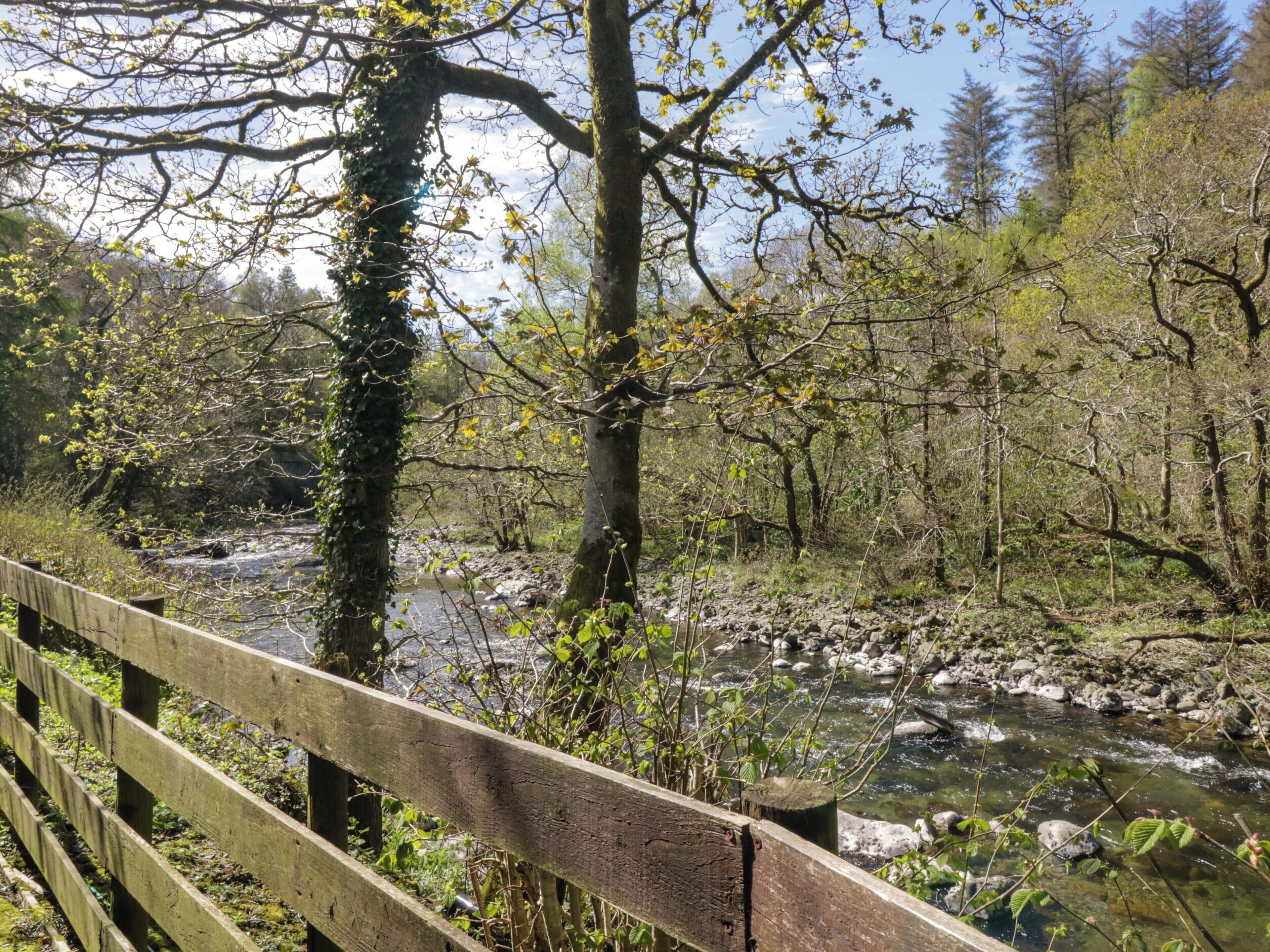 A wooden bridge over a rocky stream with trees and foliage in the background.