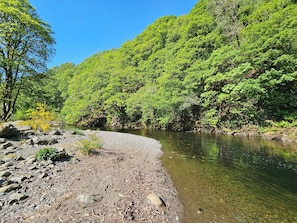 Surrounded by lush greenery and a serene river, this peaceful setting offers a secluded escape.