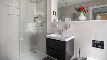 Shower, hair dryer