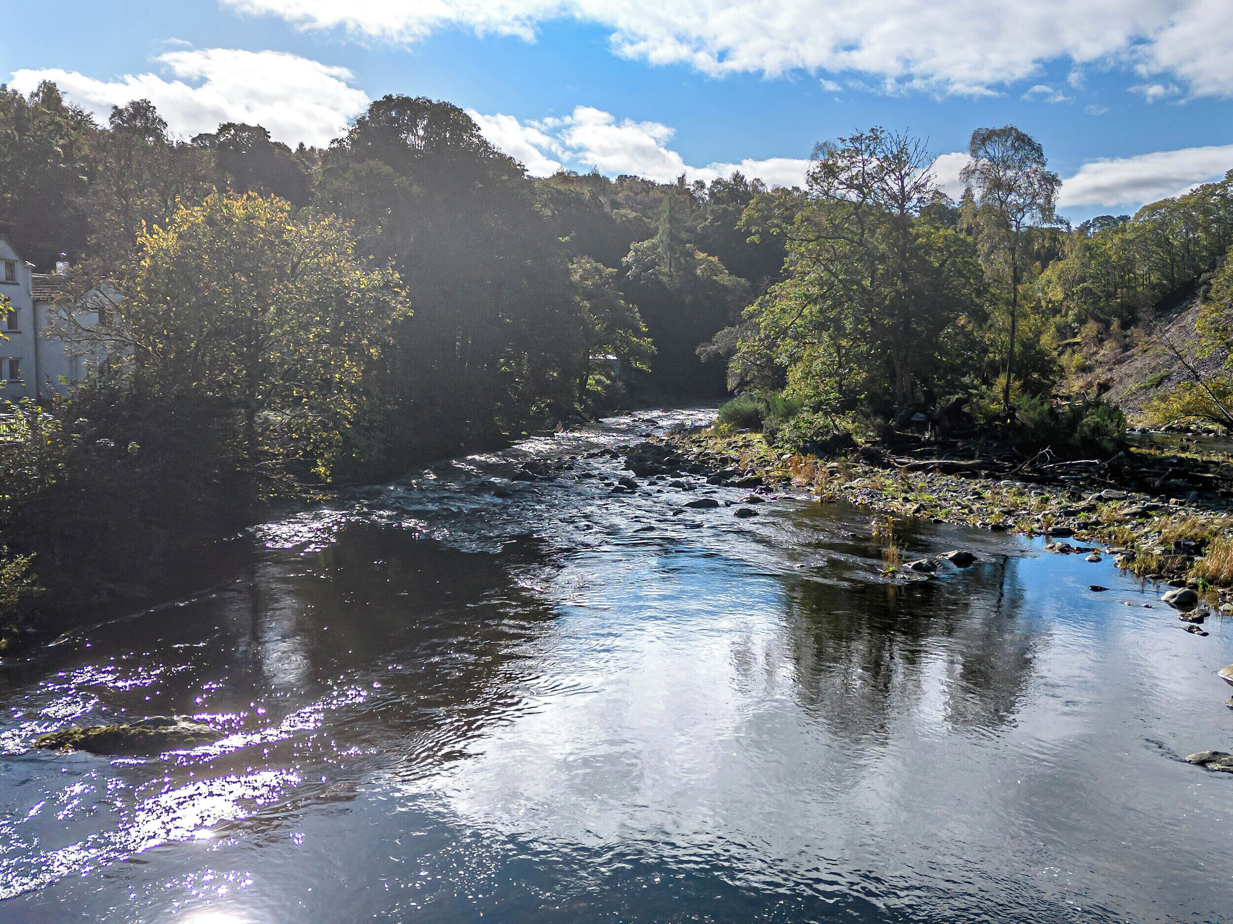 Une rivière traverse une zone boisée, avec des arbres et un bâtiment situé sur la gauche.