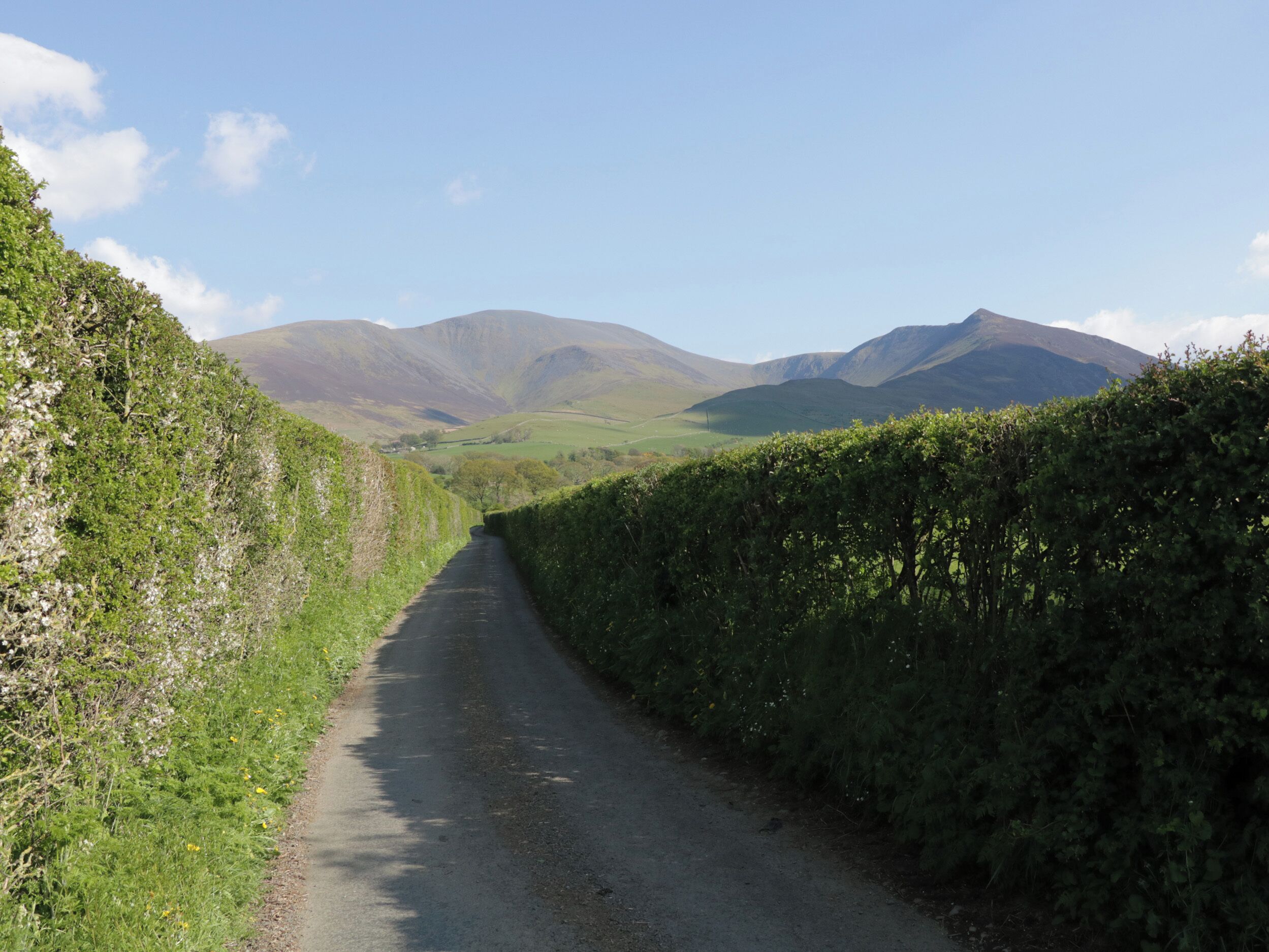 A narrow, rural road flanked by lush greenery and hills.