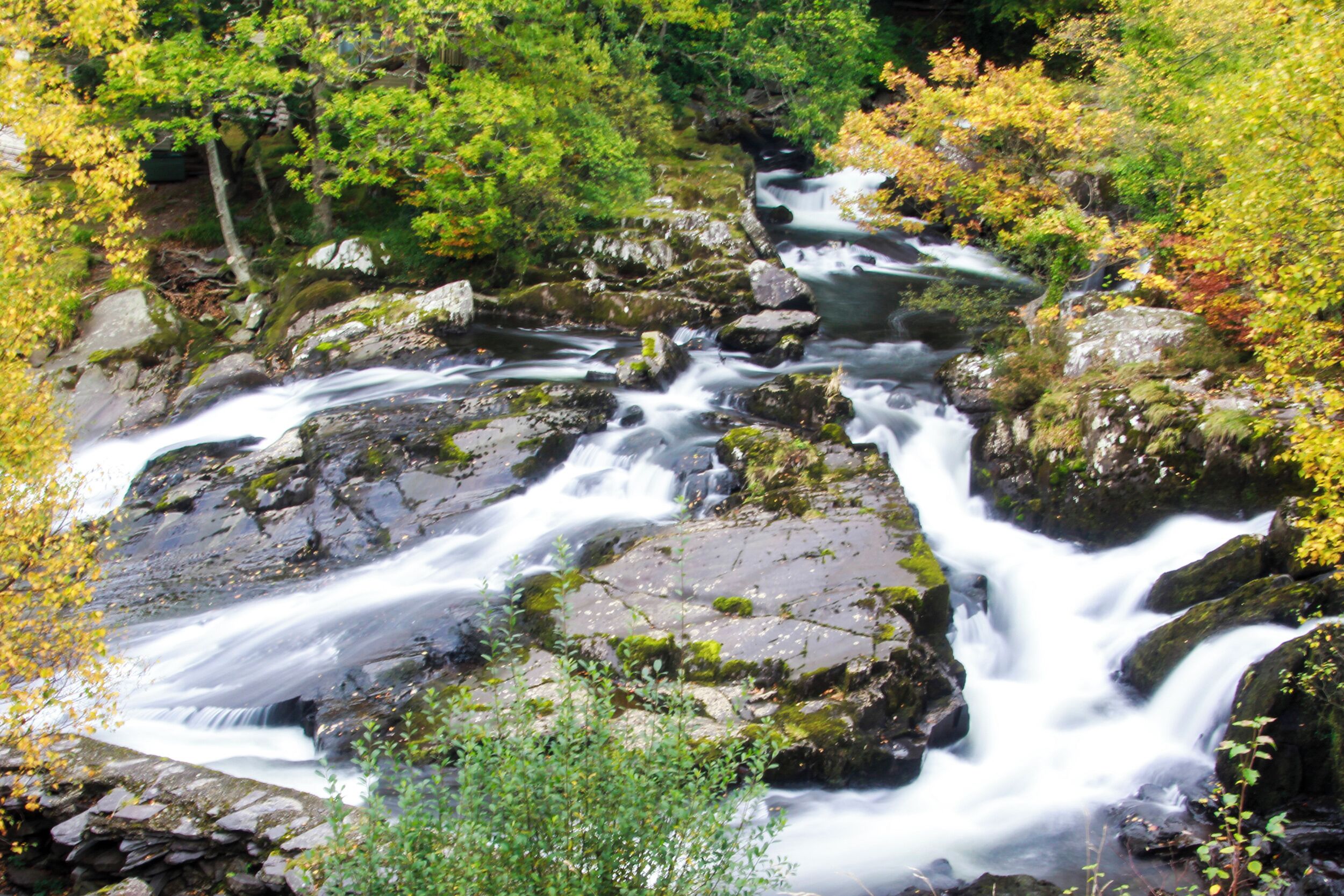 A river flowing through a rocky landscape with trees and foliage.