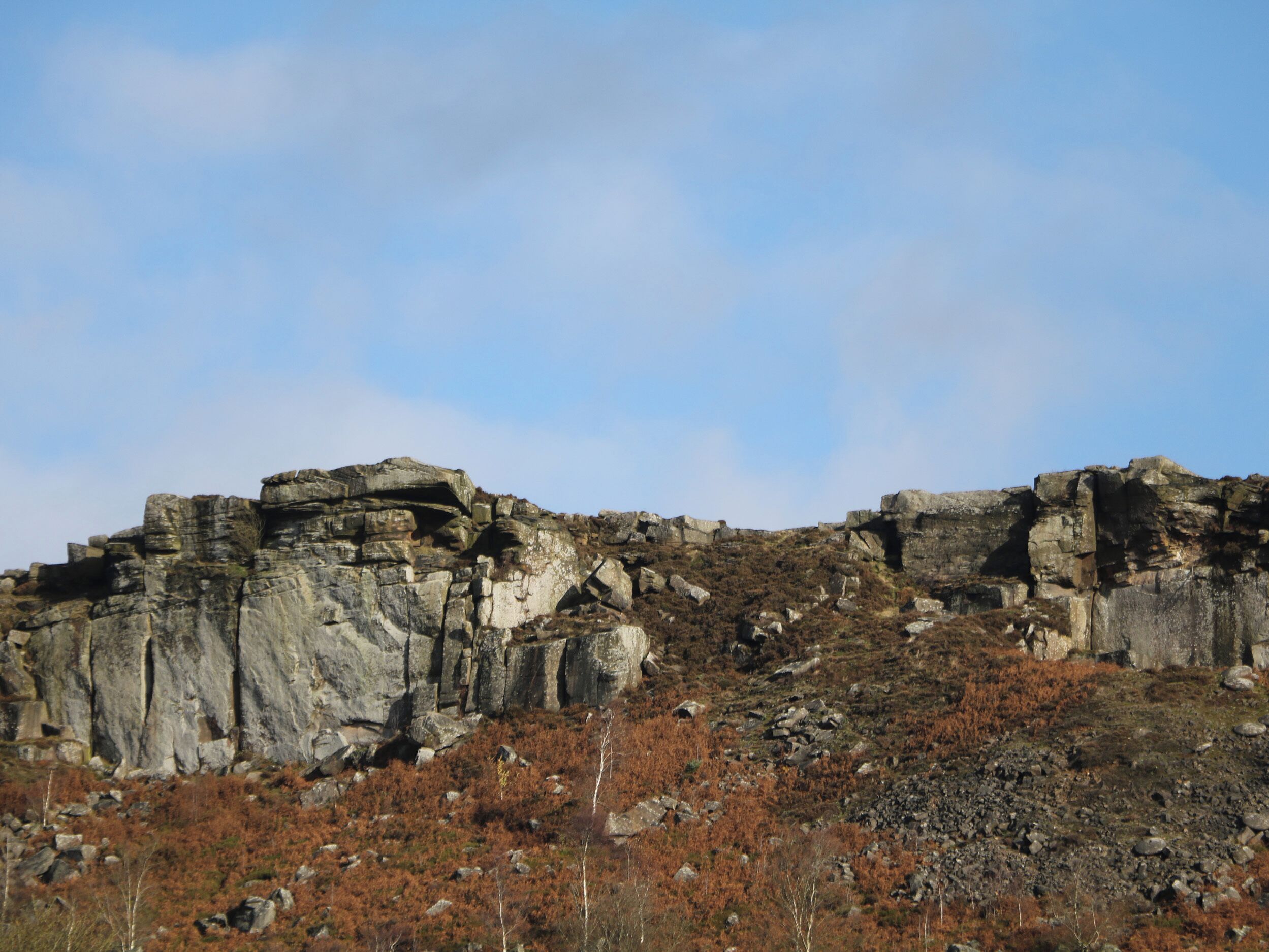 A rocky cliff with sparse vegetation.