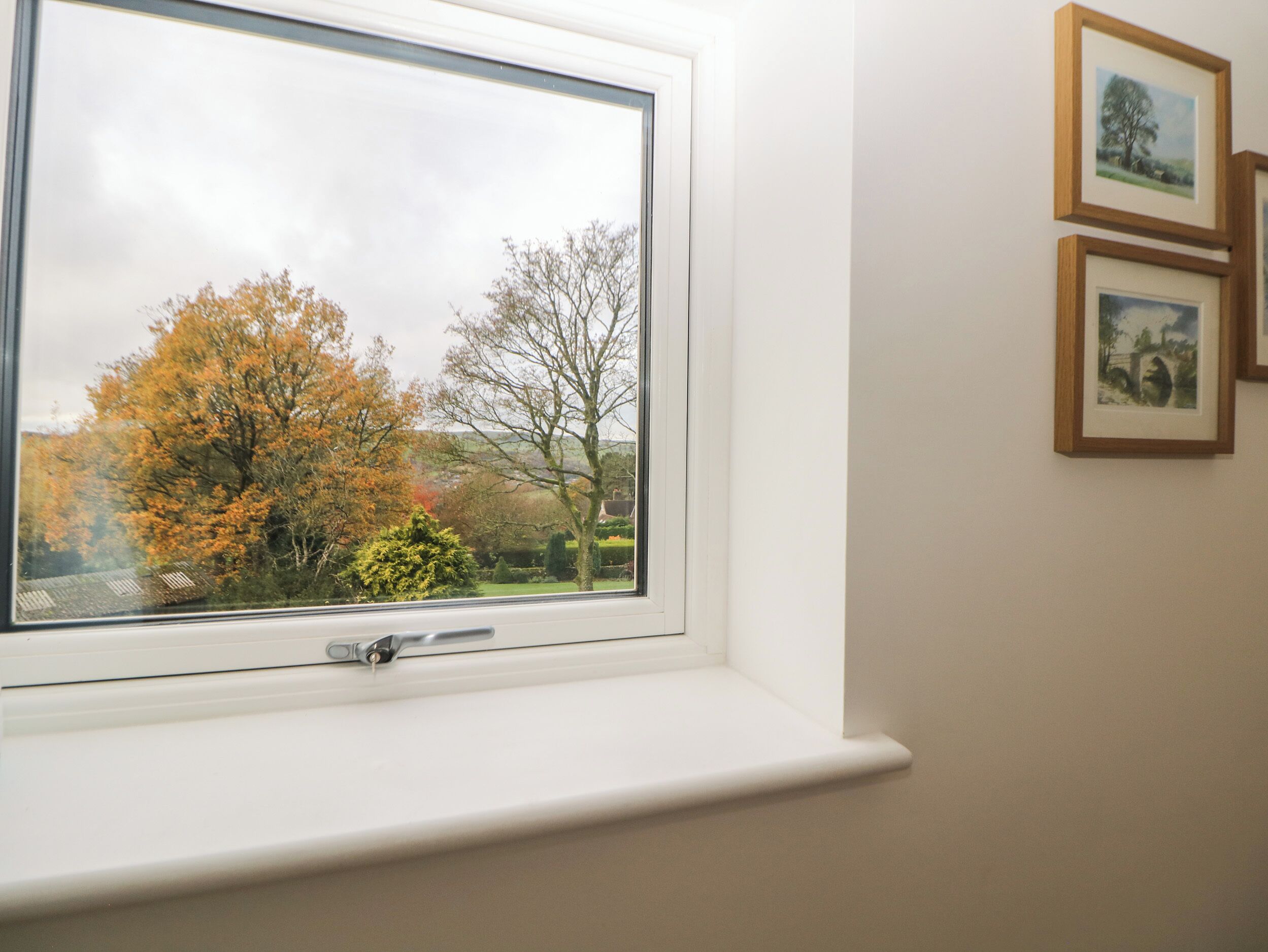 A window with a view of autumn trees and a clear sky.