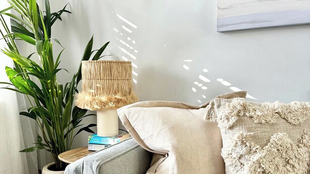 A cozy living room with a grey sofa, a woven lamp, a potted plant, and a bookshelf with books. - The Shingles (Sandown)