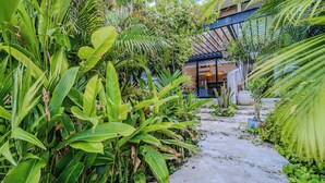 A concrete pathway surrounded by lush tropical plants leading to a building with a glass facade and a covered outdoor area.