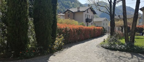 A paved pathway leading to a building with a traditional architectural style, surrounded by well-maintained hedges and trees.
