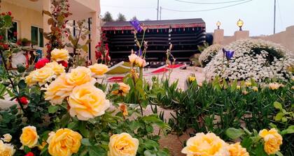 Charming bed & breakfast with AC, WiFi in enjoyable Wadi Musa