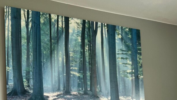 Une chambre d’hôtel avec un lit, des oreillers blancs, une couverture rose et un tableau sur le thème de la forêt accroché au mur.