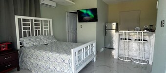 Comfortable apartment with sea view