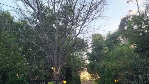 A gravel pathway leading through a garden with a wooden gate and lamp posts. - Adrenaline Lodge and Tours (Livingstone)