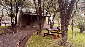 Singola Classic, patio | Una scrivania, postazione laptop, tende oscuranti, ferro/asse da stiro