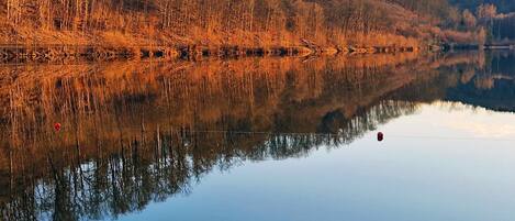 Um lago tranquilo refletindo árvores e um céu claro.