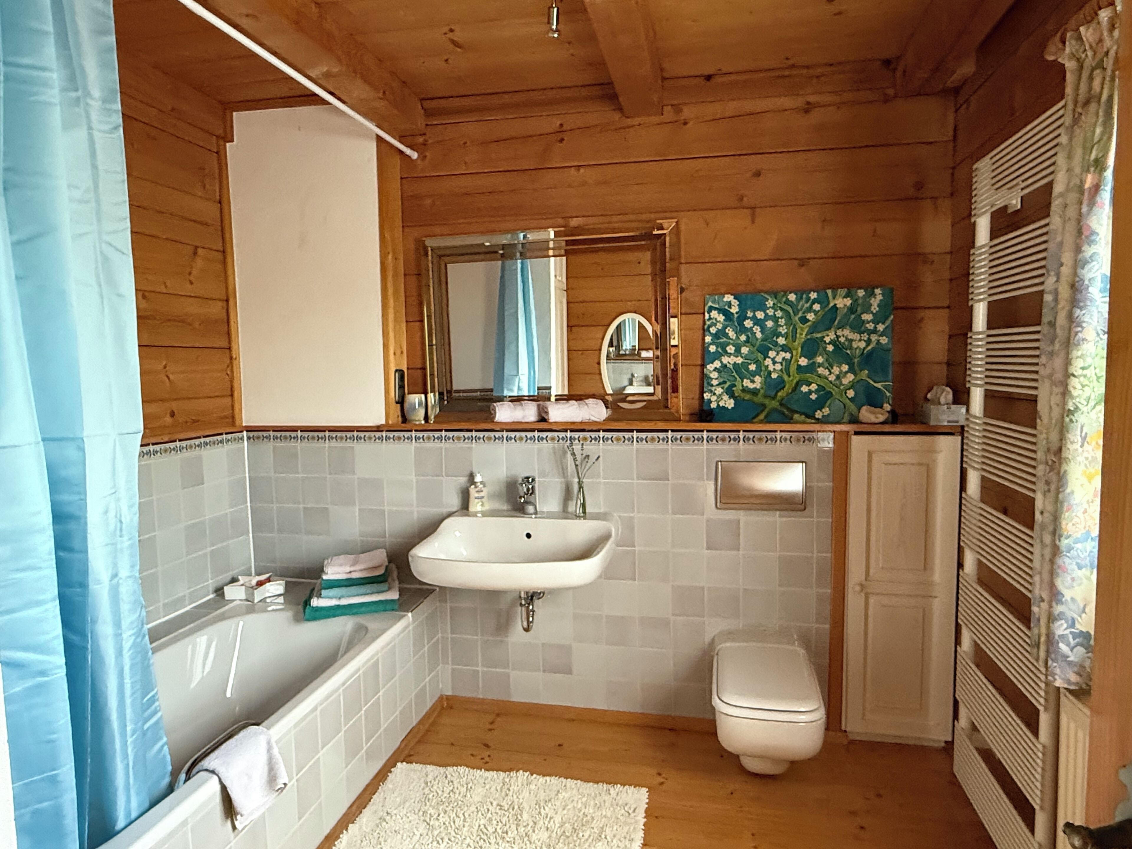 Dusche, Haartrockner, Handtücher, Seife