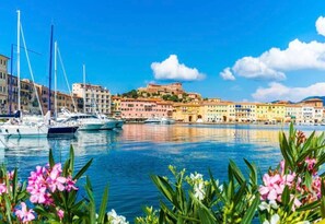 Marina - Ferienwohnung 3 Min. zu Fuß zu den Stränden von Capo Bianco und Padulella. (Portoferraio)