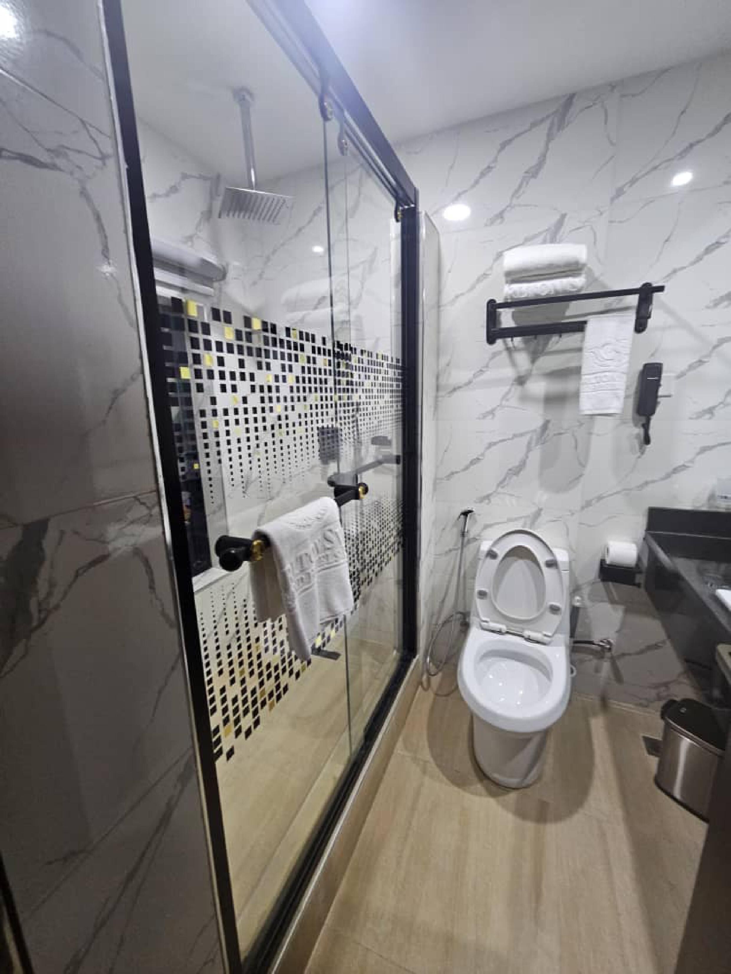 A modern bathroom with a glass-enclosed shower, a toilet, and a sink.