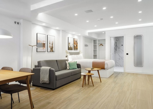 Superior Studio with sofa bed | Individually decorated, individually furnished, desk, laptop workspace