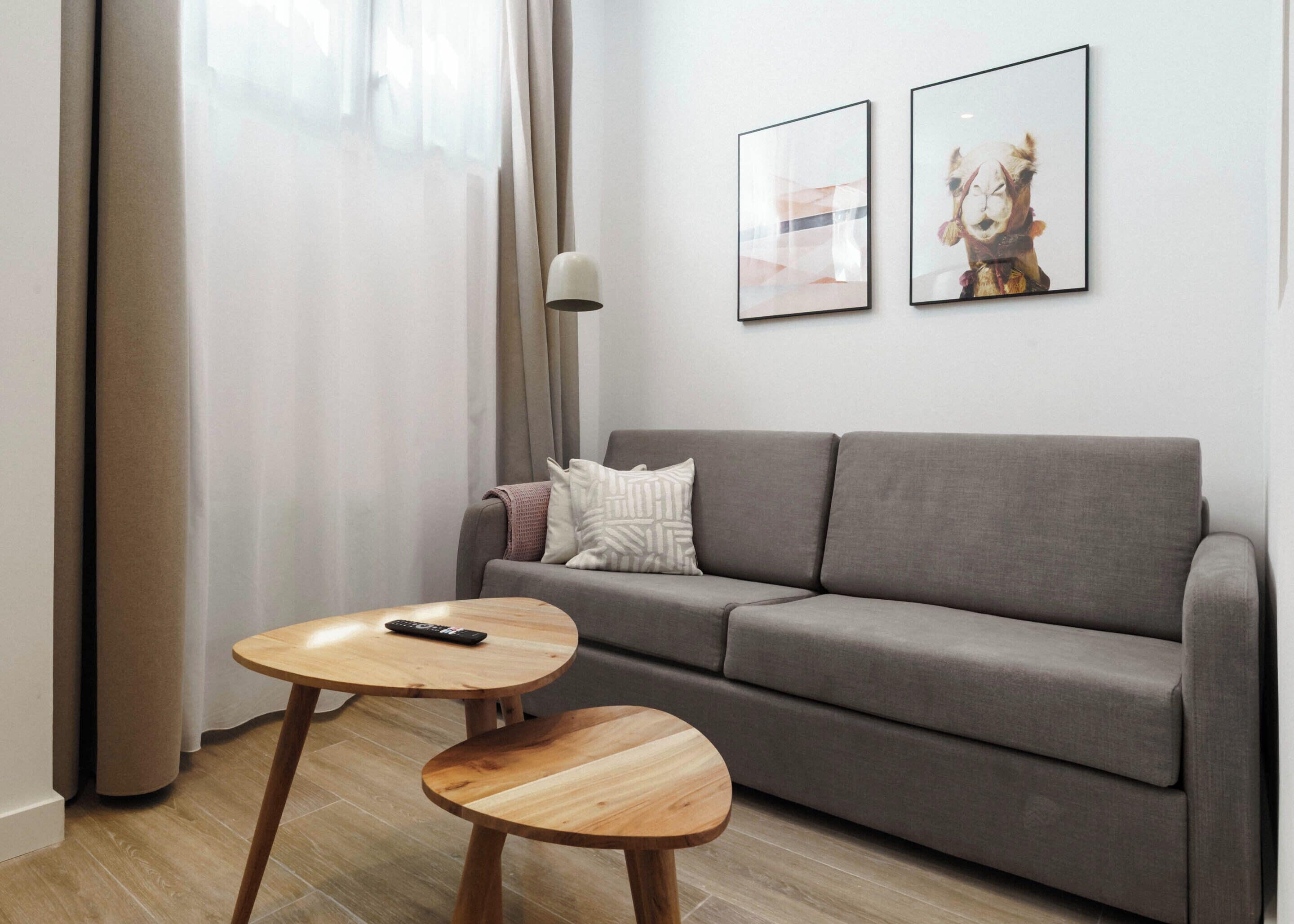 Comfort Studio with sofa bed | Individueel gedecoreerd, individueel gemeubileerd, een bureau